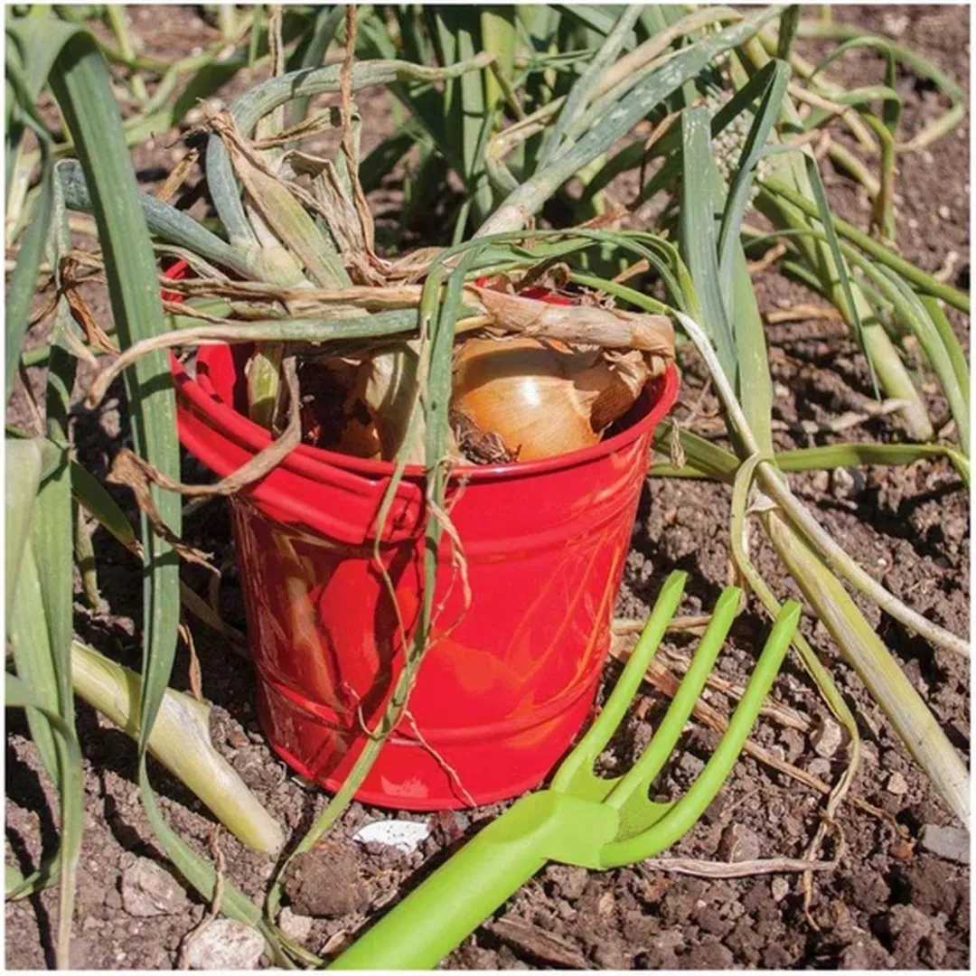 BIGJIGS Red Bucket