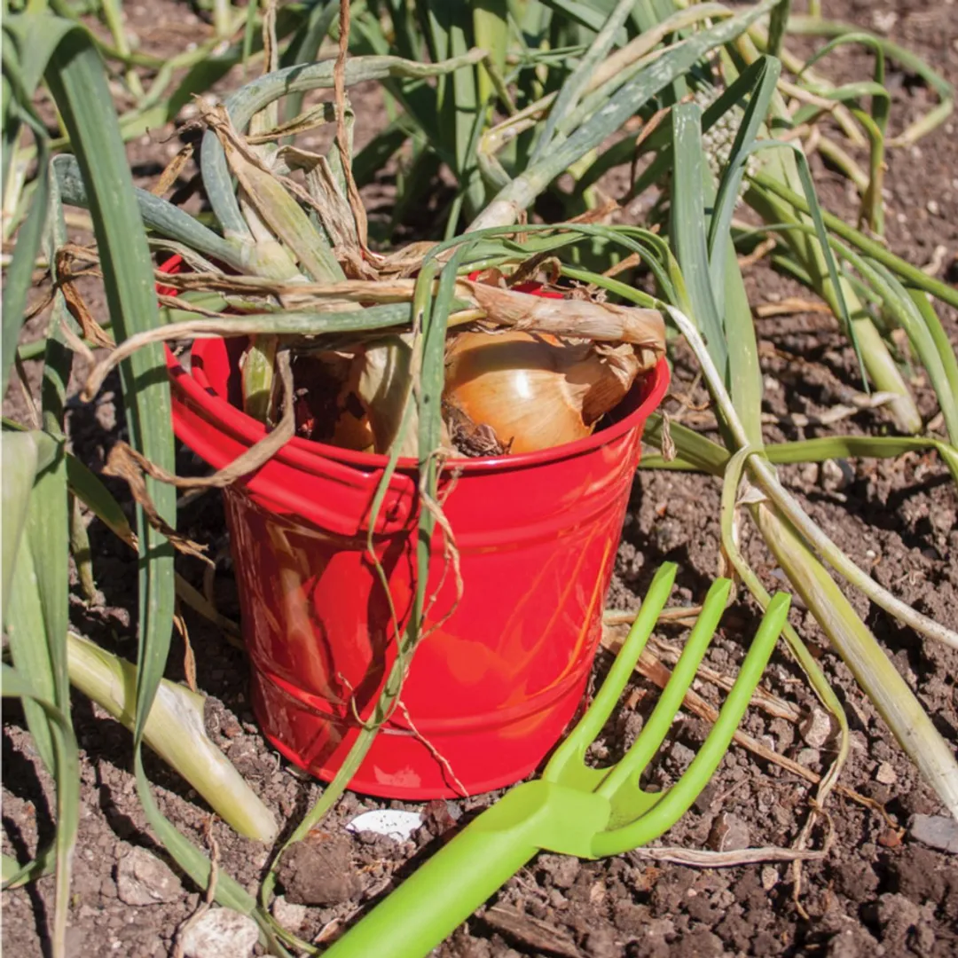 BIGJIGS Red Bucket