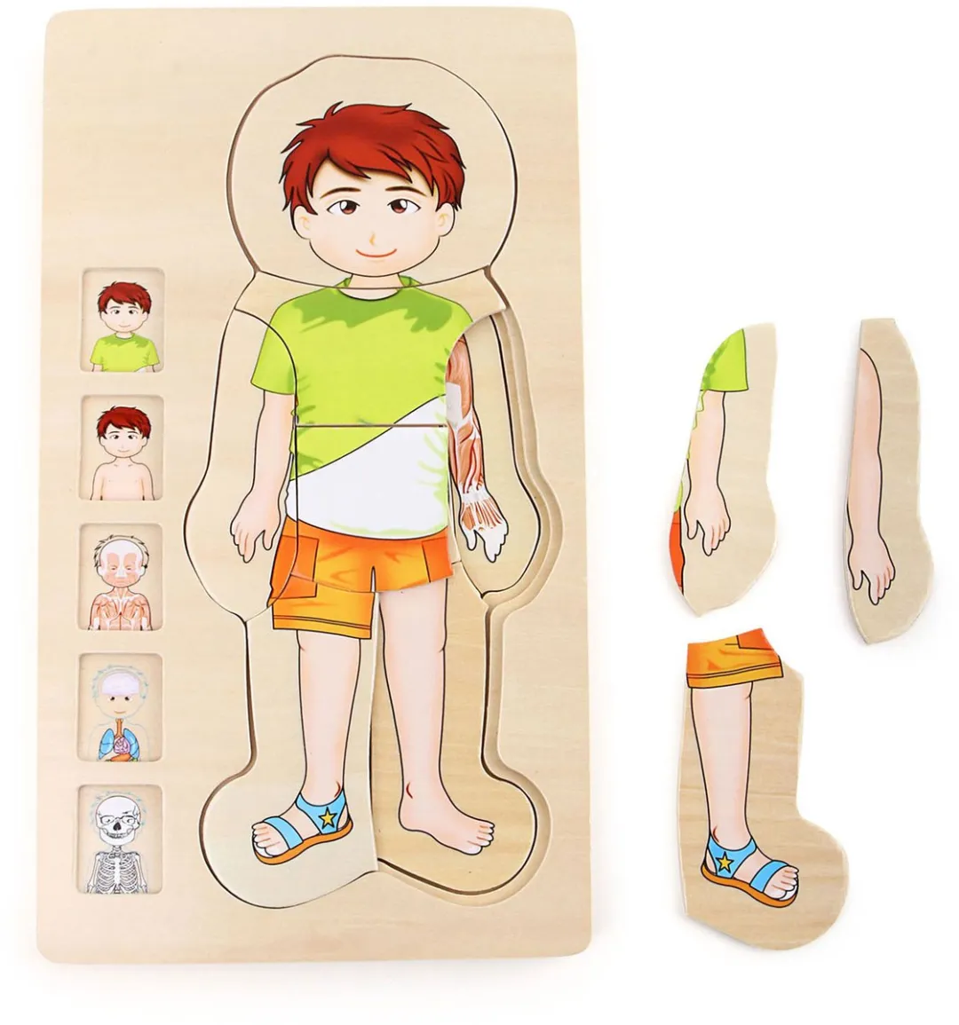 Small Foot Houten Lichaamspuzzel Jongen 29-delig - Multicolor - afbeelding 6 van 6