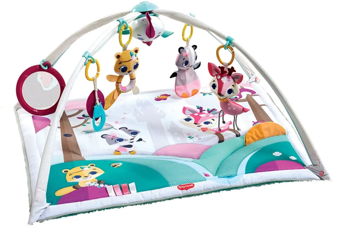 Tiny Love Gymini Deluxe Babygym