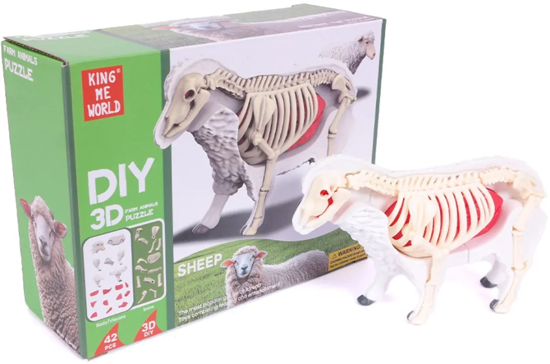 PIA Soft Toys 3D Anatomie Schaap