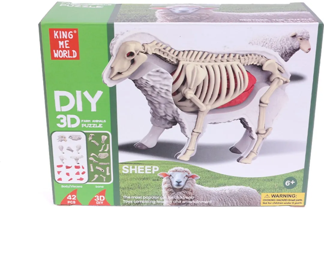 PIA Soft Toys 3D Anatomie Schaap - Rood/Wit