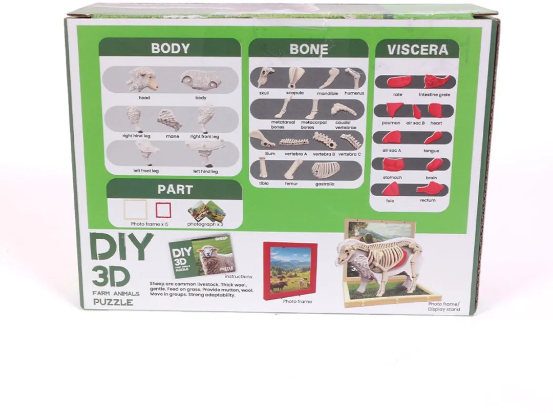 PIA Soft Toys 3D Anatomie Schaap - Rood/Wit - afbeelding 6 van 6