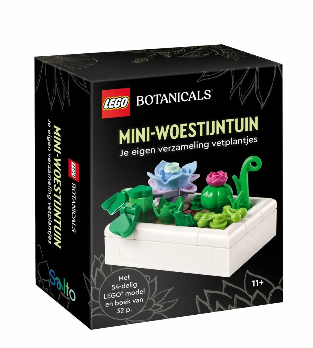 LEGO Botanicals Mini-woestijntuin