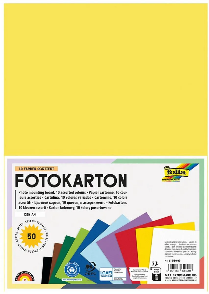 Folia Fotokarton Multicolor 50 Blad - 10x15cm