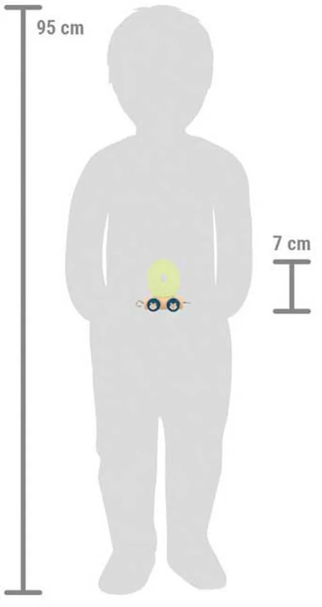Small Foot Houten Lettertrein Polar