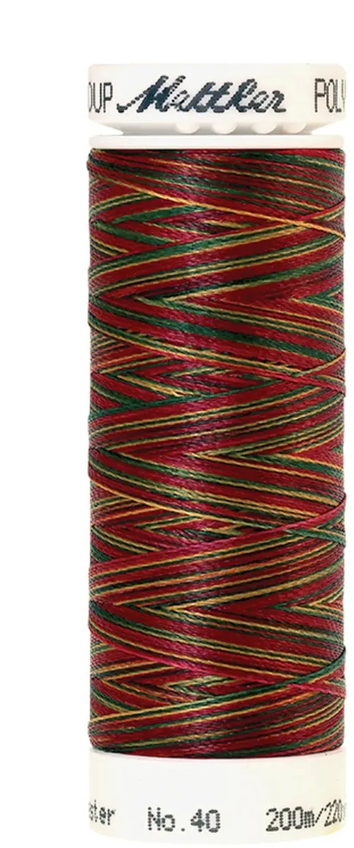 Amann Mettler Poly Multi Borduurgaren 9938 - 200m - Multicolor