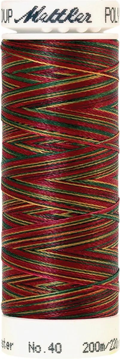 Amann Mettler Poly Multi Borduurgaren 9938