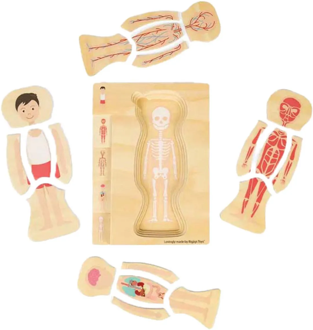 BIGJIGS Houten Anatomiepuzzel 26-delig - Multi