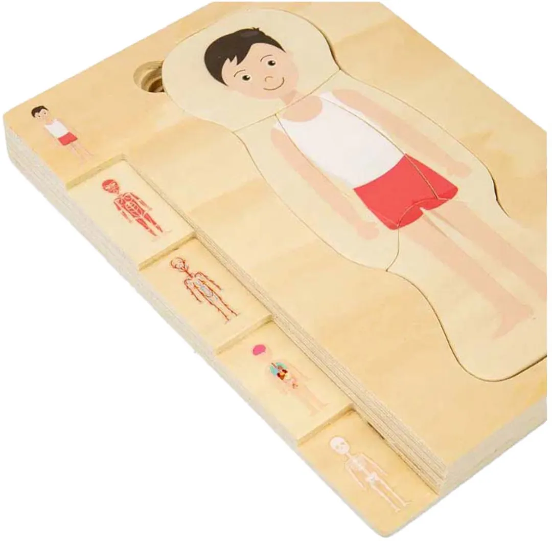 BIGJIGS Houten Anatomiepuzzel 26-delig - Multi