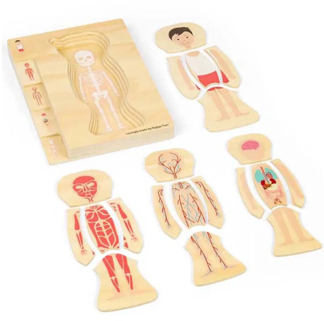 BIGJIGS Houten Anatomiepuzzel 26-delig - Multi