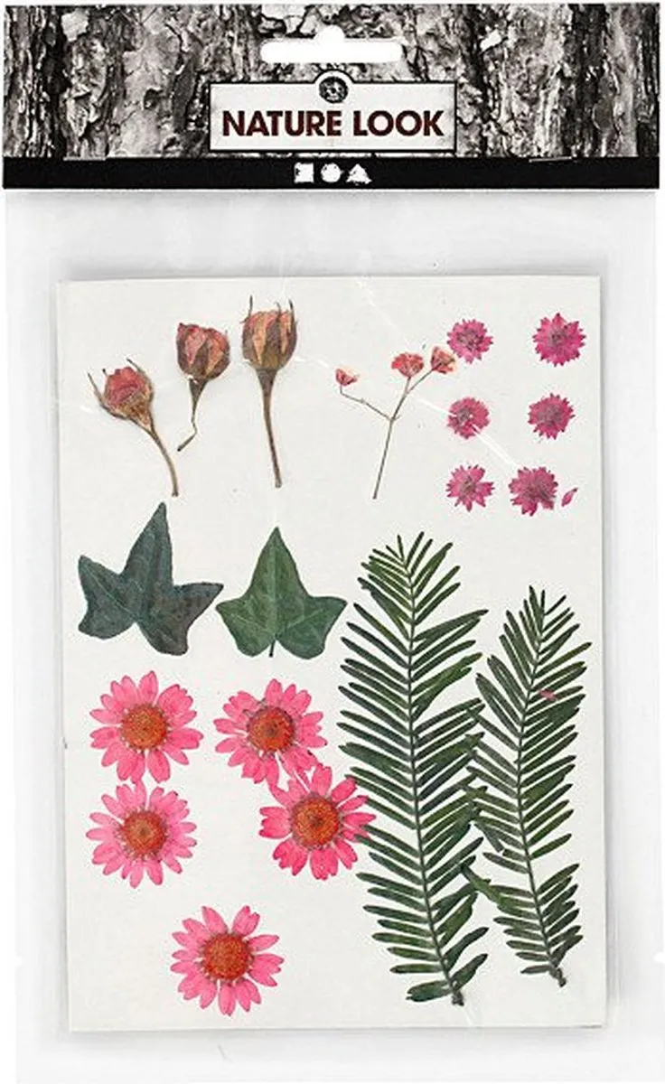 Creativ Company Gedroogde Bloemen & Bladeren - 19 Stuks Roze