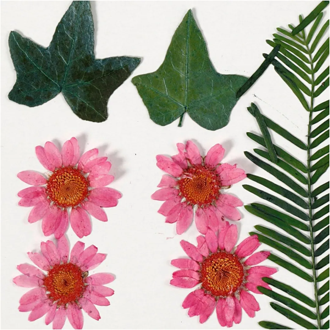 Creativ Company Gedroogde Bloemen & Bladeren - 19 Stuks Roze