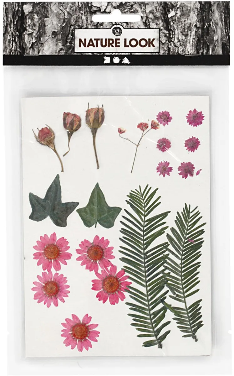 Creativ Company Gedroogde Bloemen & Bladeren - 19 Stuks Roze