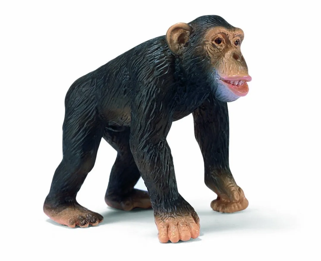 Schleich Chimpansee 14189