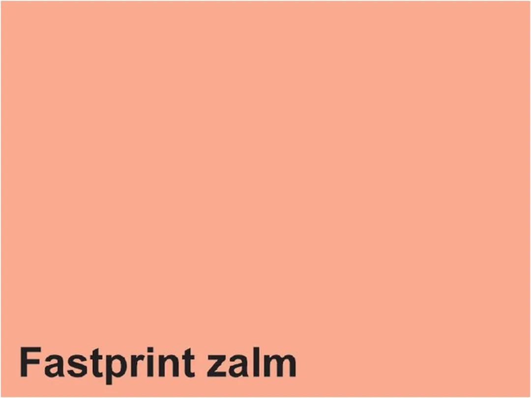 Quantore Kopieerpapier A4 120gr Zalm - 250 Vel