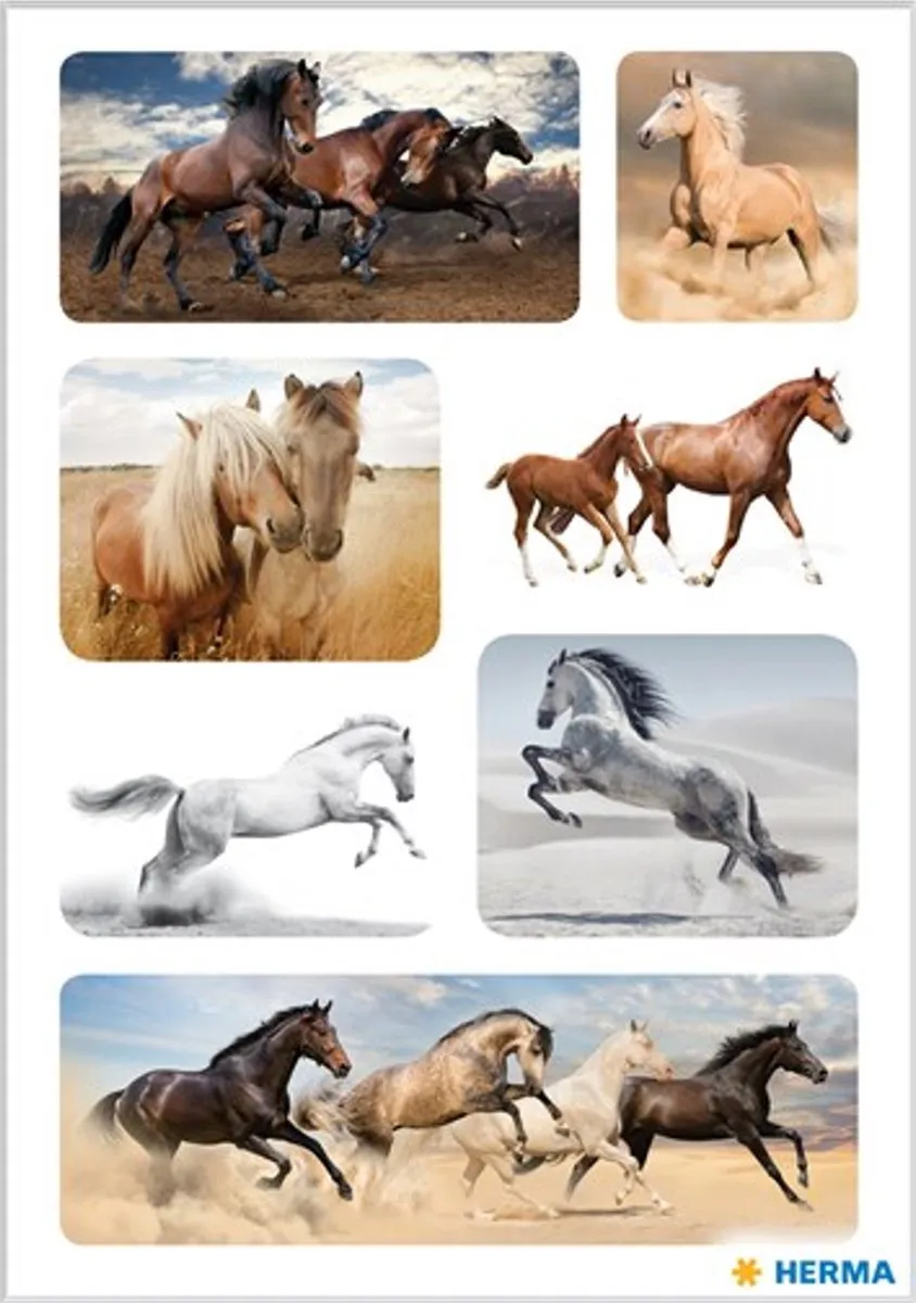 Herma Haza Original Stickers Paard