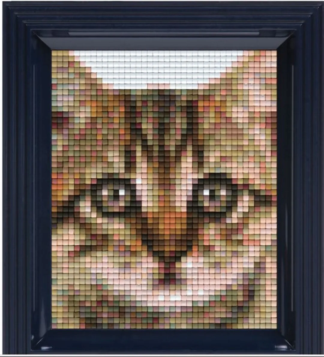 Pixelhobby Geschenkverpakking Kitten 31327