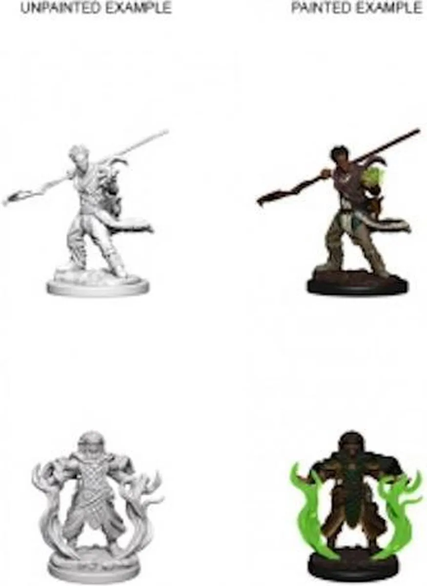 Wizkids Human Druid Nolzur's