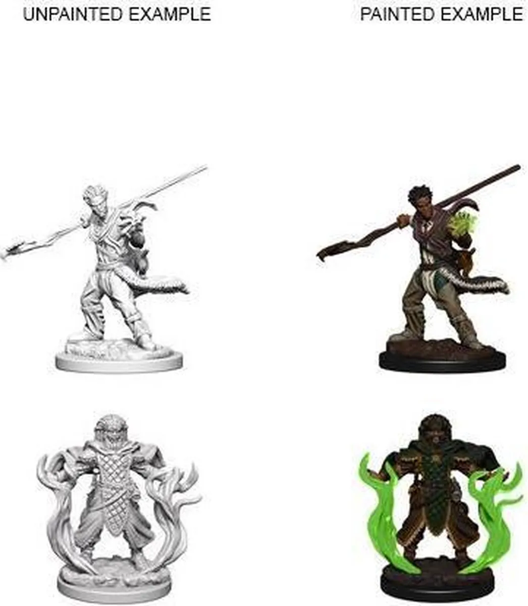 Wizkids Human Druid Nolzur's - 2 Stuks