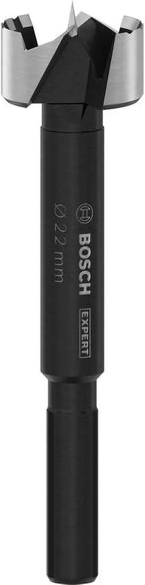 Bosch Expert Houtvoorsnijder Ø22mm
