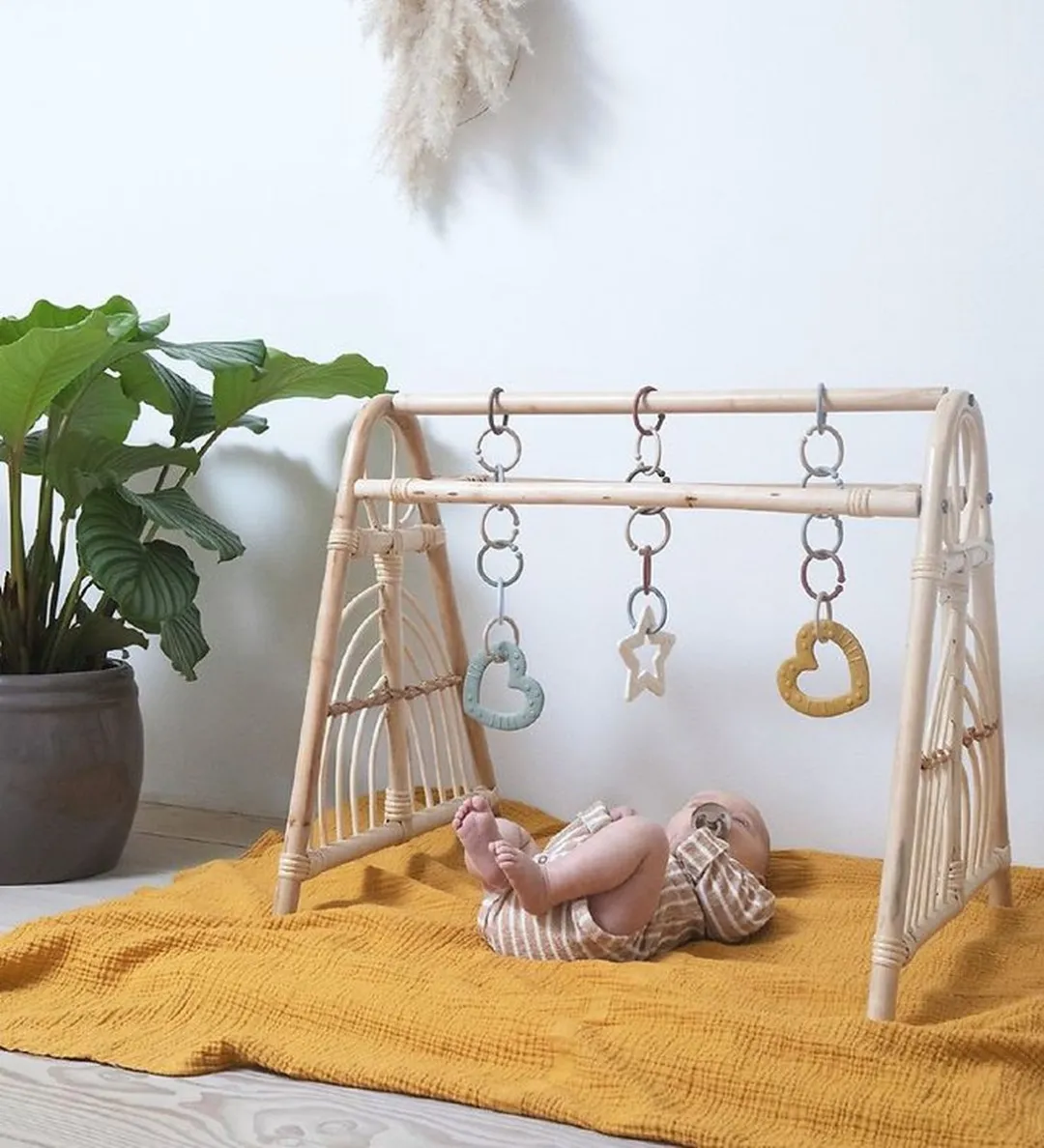 Bibs Bitie Star Pink Plum Bijtring 3000283