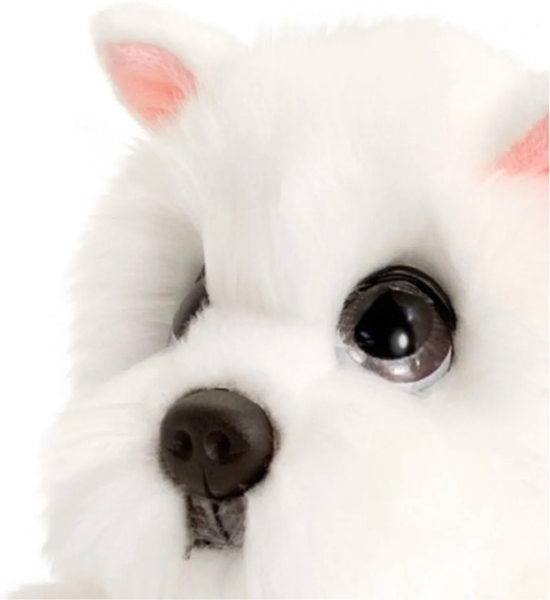 Keel Toys Westhighland Terrier Knuffel - Wit 24cm
