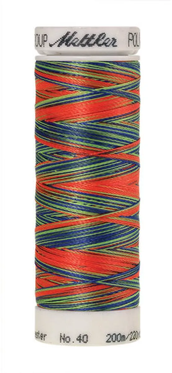 Amann Mettler Poly Multi Borduurgaren 9981 - 200m - Multicolor