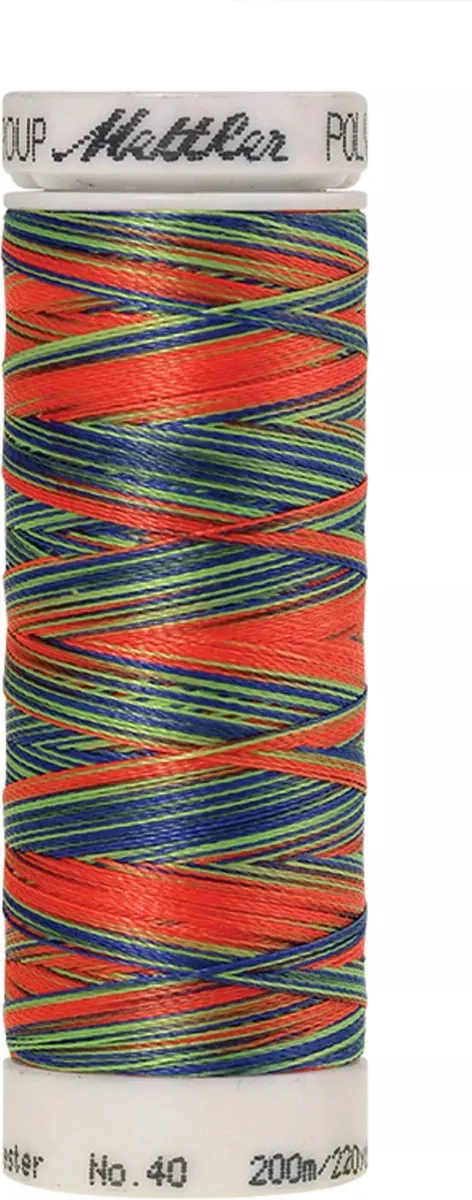 Amann Mettler Poly Multi Borduurgaren 9981 - 200m - Multicolor