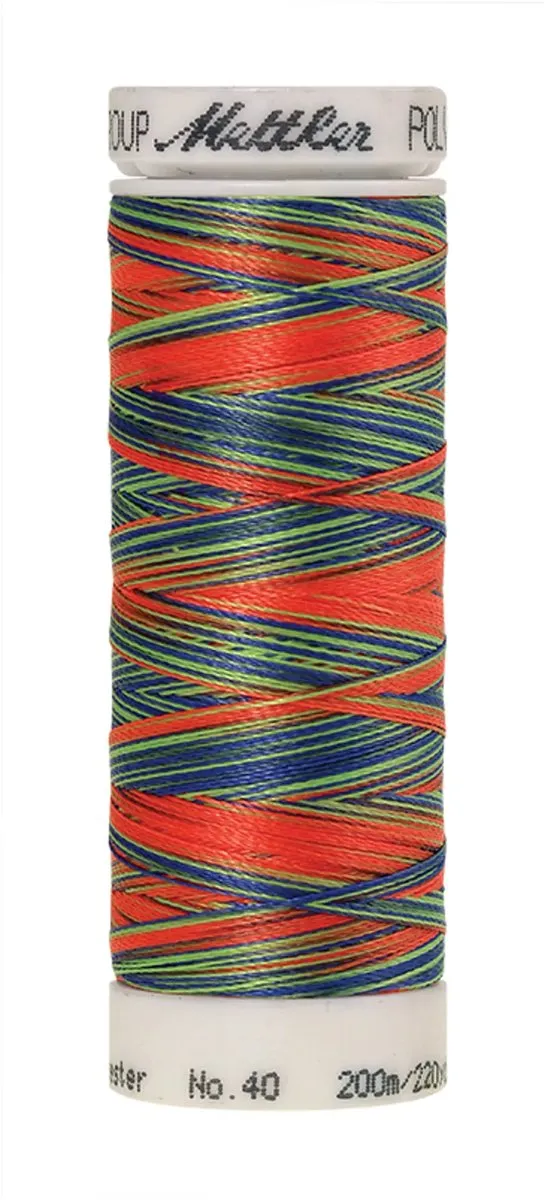 Amann Mettler Poly Multi Borduurgaren 9981 - 200m - Multicolor
