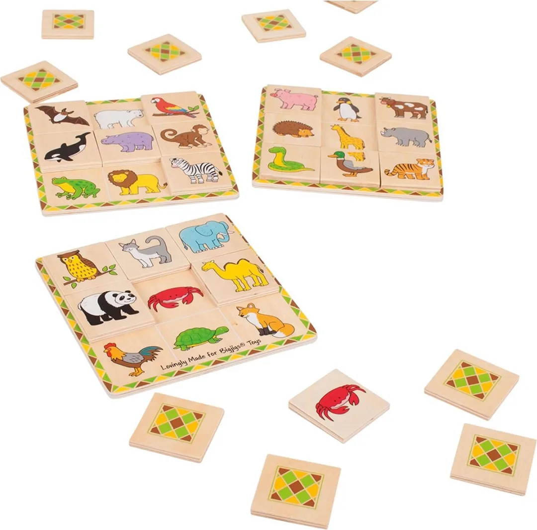 Bigjigs Lotto - Multi