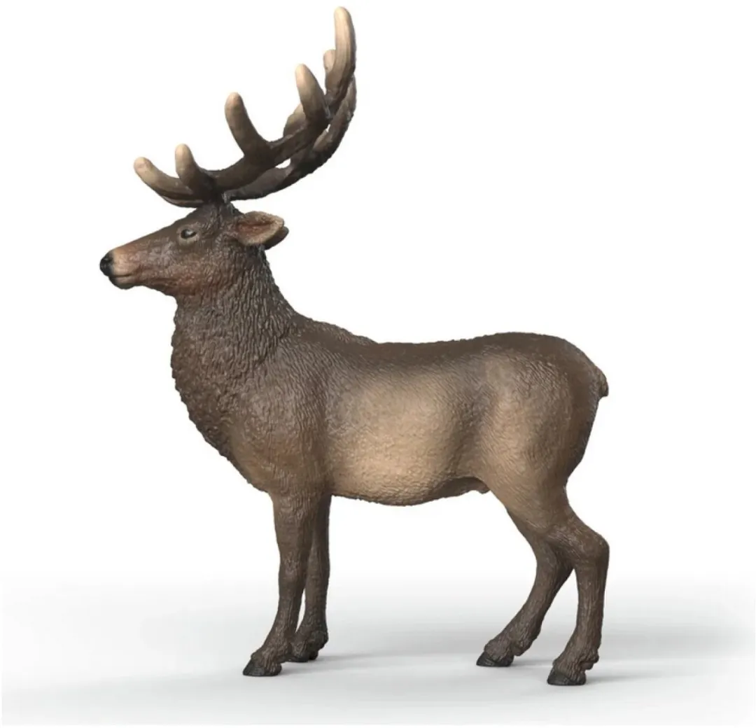 Schleich Amerikaans Edelhert Speelfiguur 14992 - Multicolor