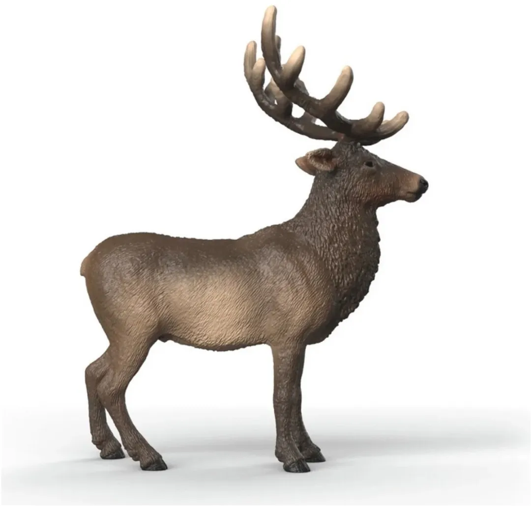 Schleich Amerikaans Edelhert Speelfiguur 14992 - Multicolor