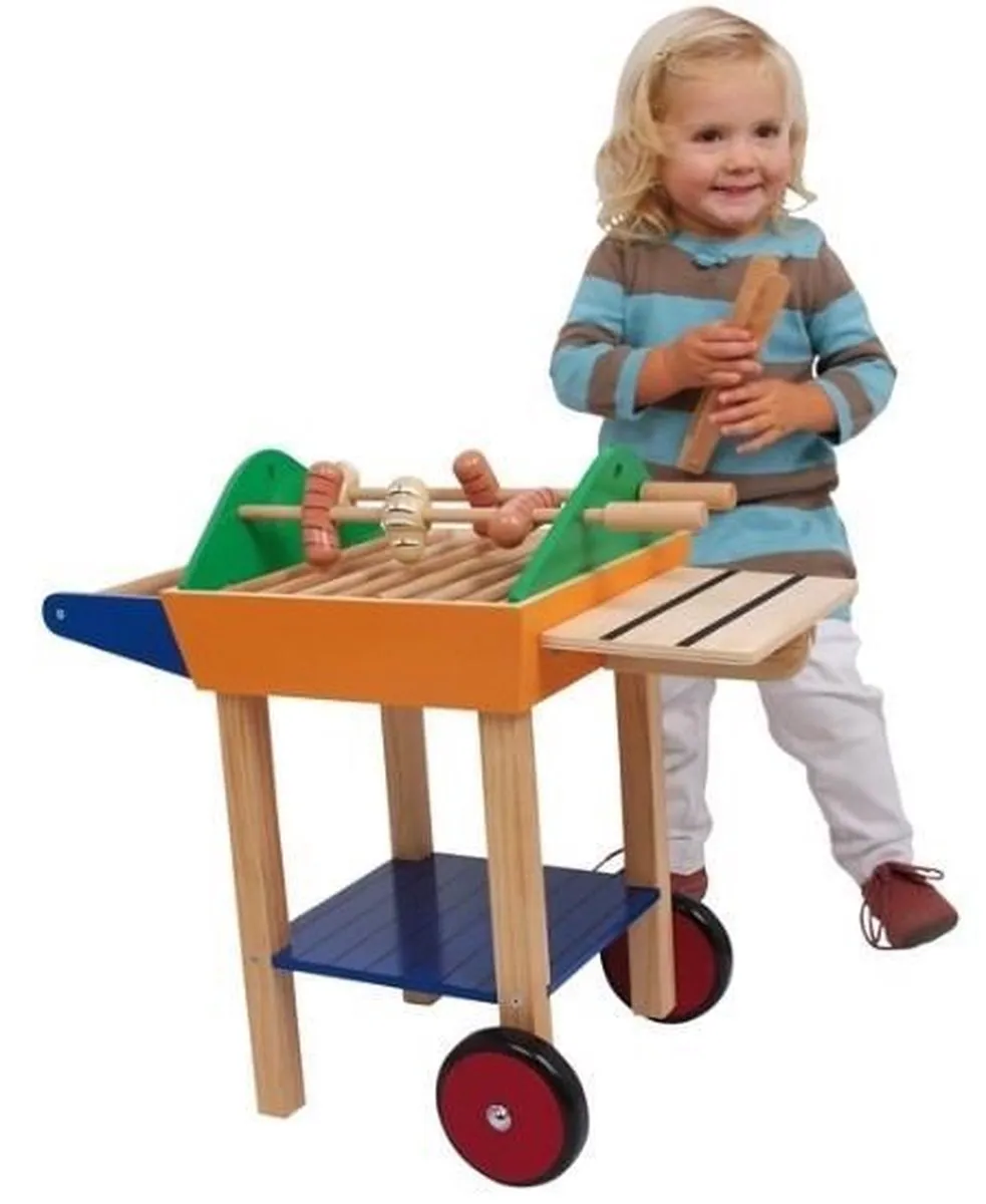 ThimbleToys Party Barbecue - Multicolor