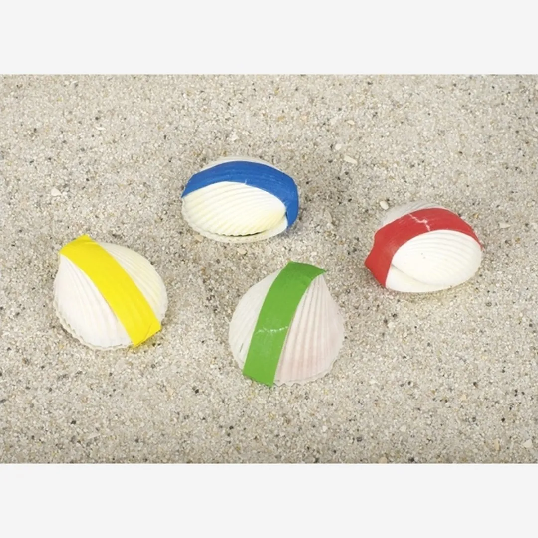 Goki Magische Schelp - Multicolor