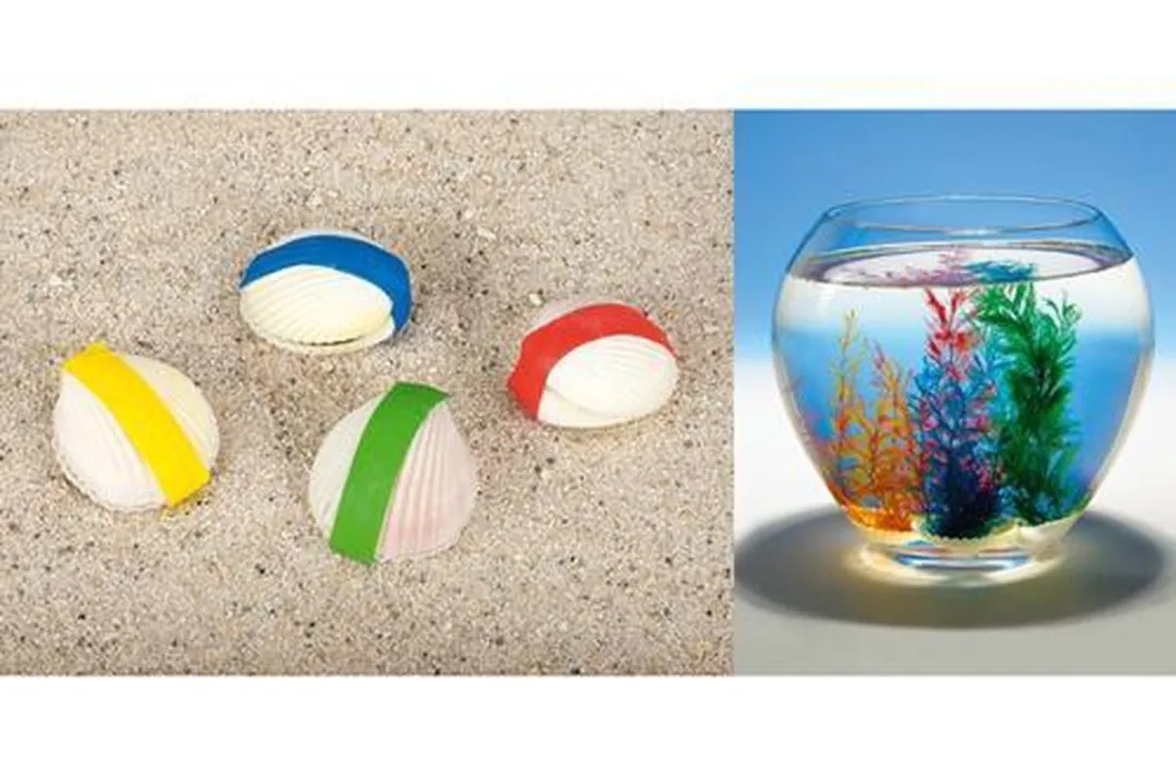 Goki Magische Schelp - Multicolor