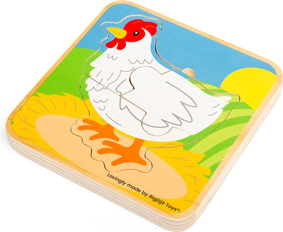 BIGJIGS Levenscyclus Puzzel Kip 1000 Stuks - Multicolor