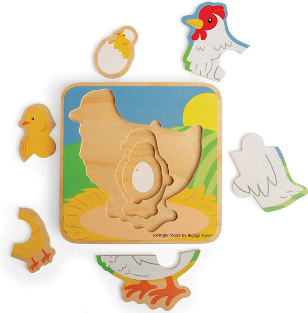 BIGJIGS Levenscyclus Puzzel Kip 1000 Stuks - Multicolor