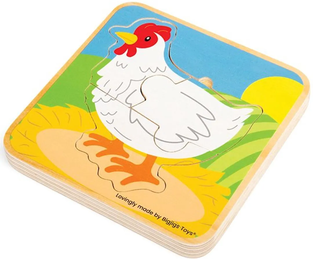 BIGJIGS Levenscyclus Puzzel Kip 1000 Stuks - Multicolor