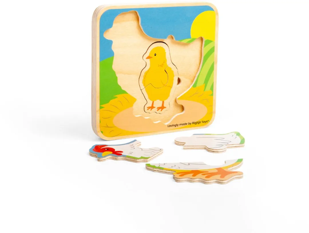 BIGJIGS Levenscyclus Puzzel Kip 1000 Stuks - Multicolor