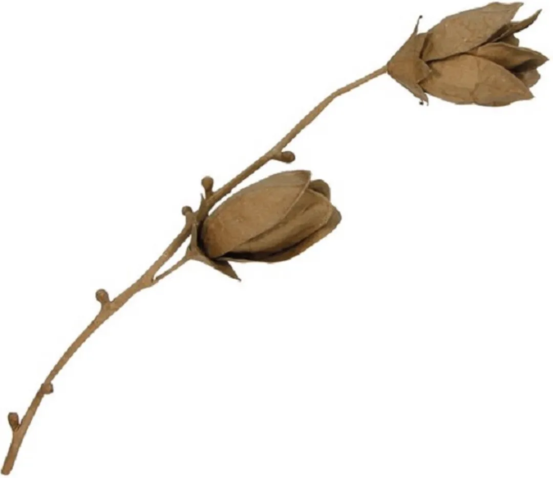 Decopatch Bloem Magnolie