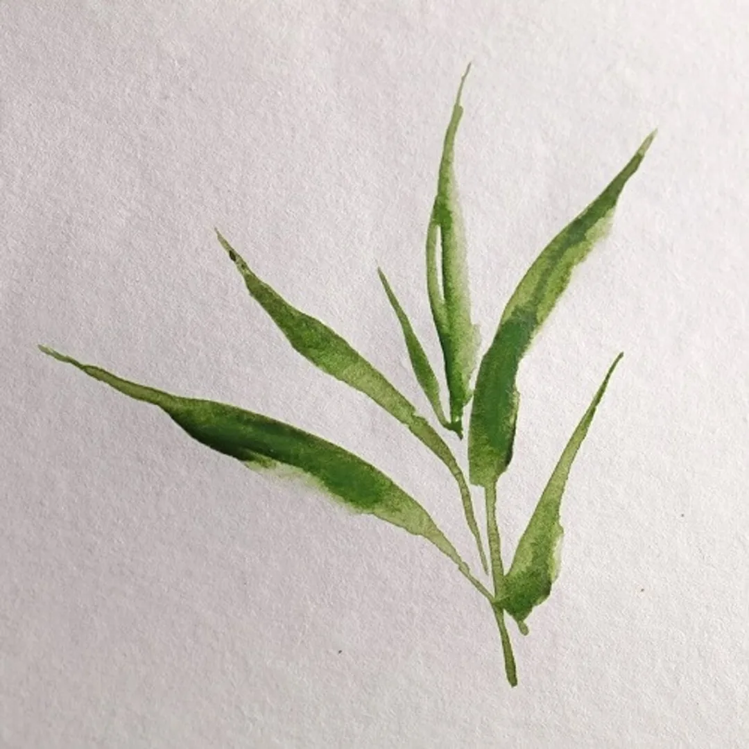 Clairefontaine Bamboo Aquarelpapier A3 - 15 Stuks - Ivoorwit