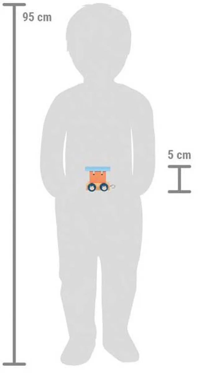 Small Foot Houten Lettertrein Polar