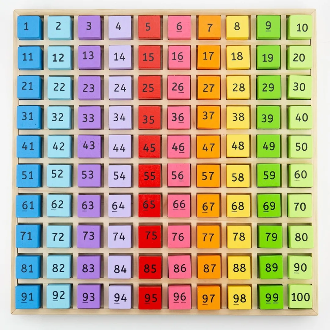 BIGJIGS Getallenbakje 100-delig
