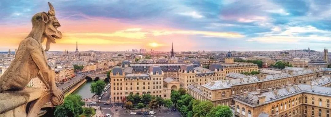 Trefl Panorama Notre-Dame Puzzel 1000 Stuks