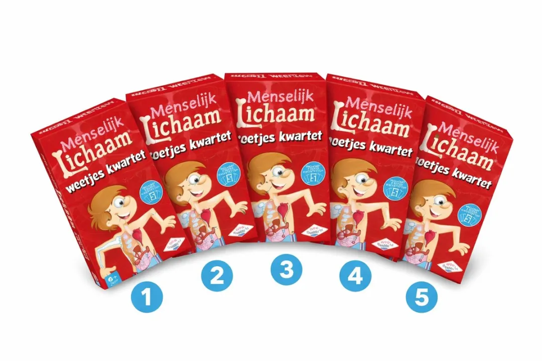 Identity Games Het Menselijk Lichaam Kinderkwartet