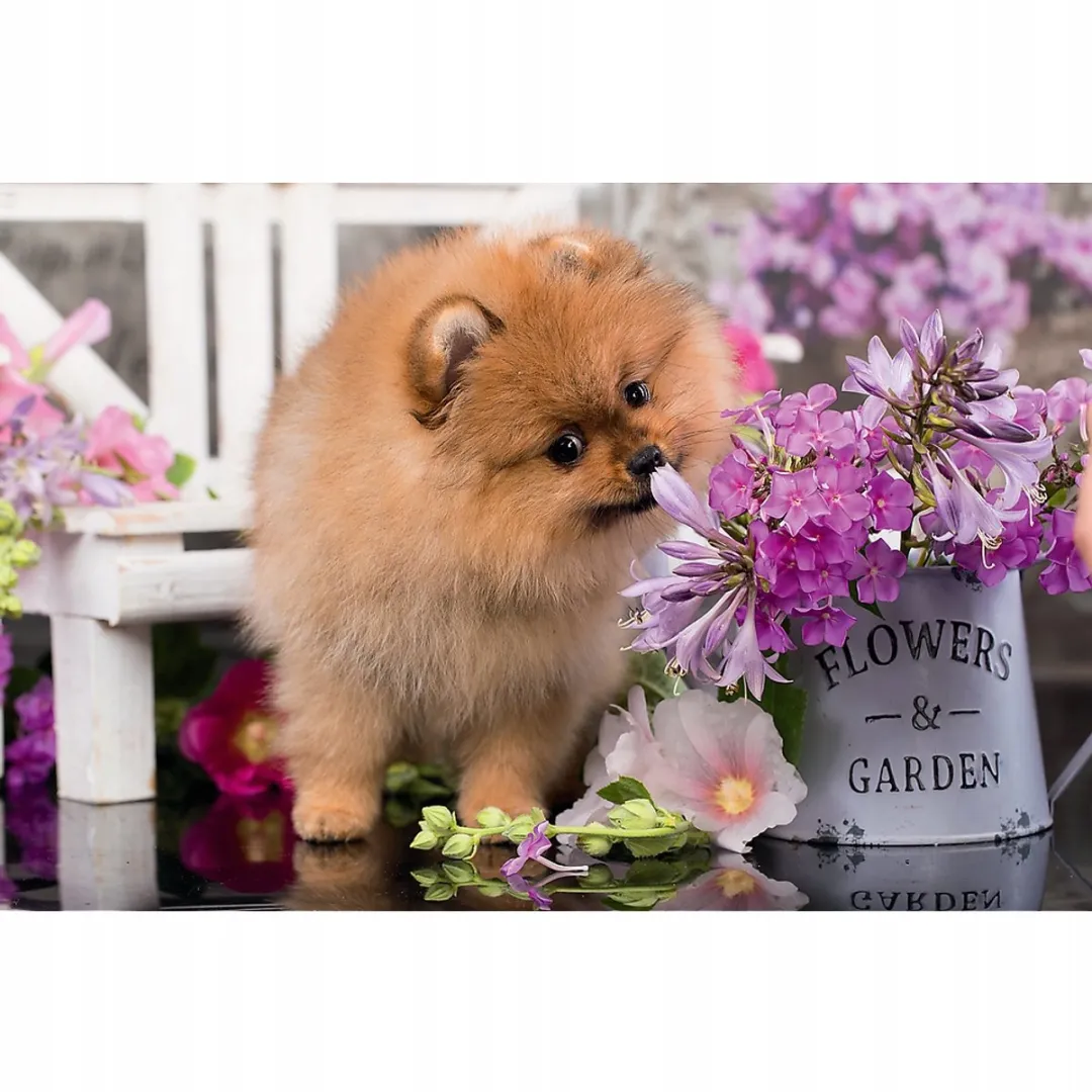 Trefl Minipuzzel 54 Stuks - Schattige Huisdierenhond