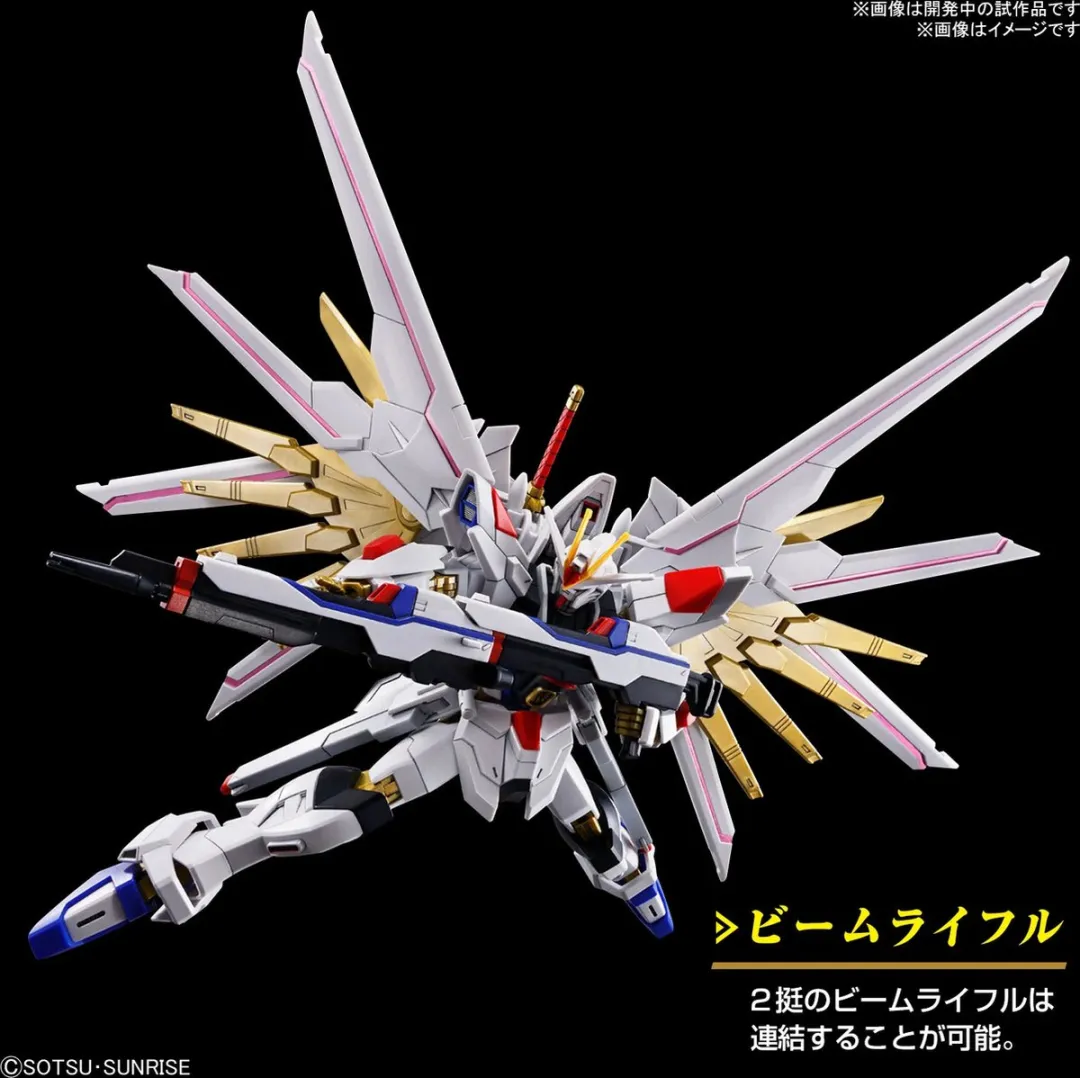 Bandai Gundam HG Ighty Strike Freedom 1/144 - Multicolor