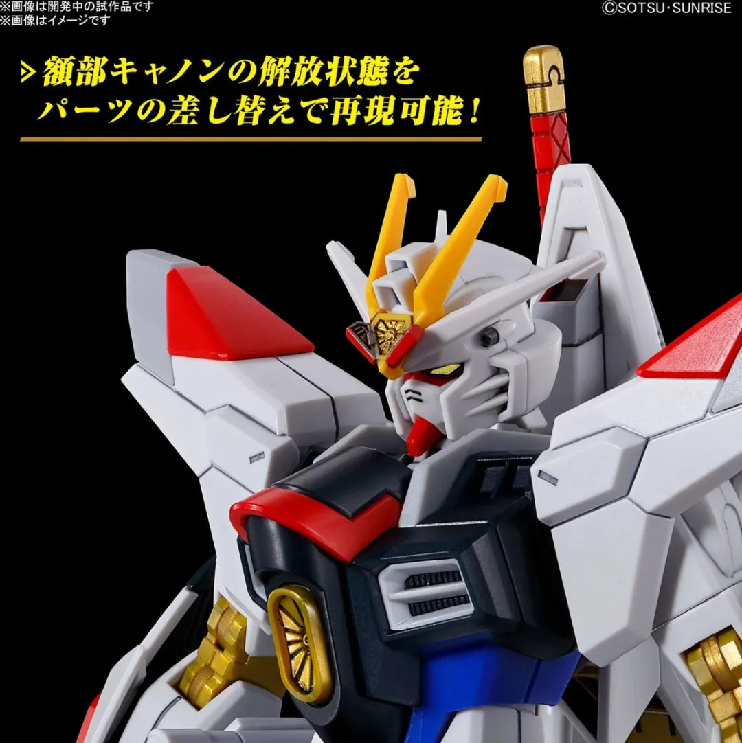 Bandai Gundam HG Ighty Strike Freedom 1/144 - Multicolor