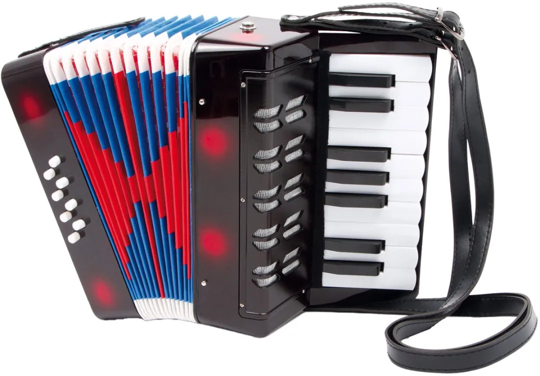 Small Foot Accordeon Klassiek